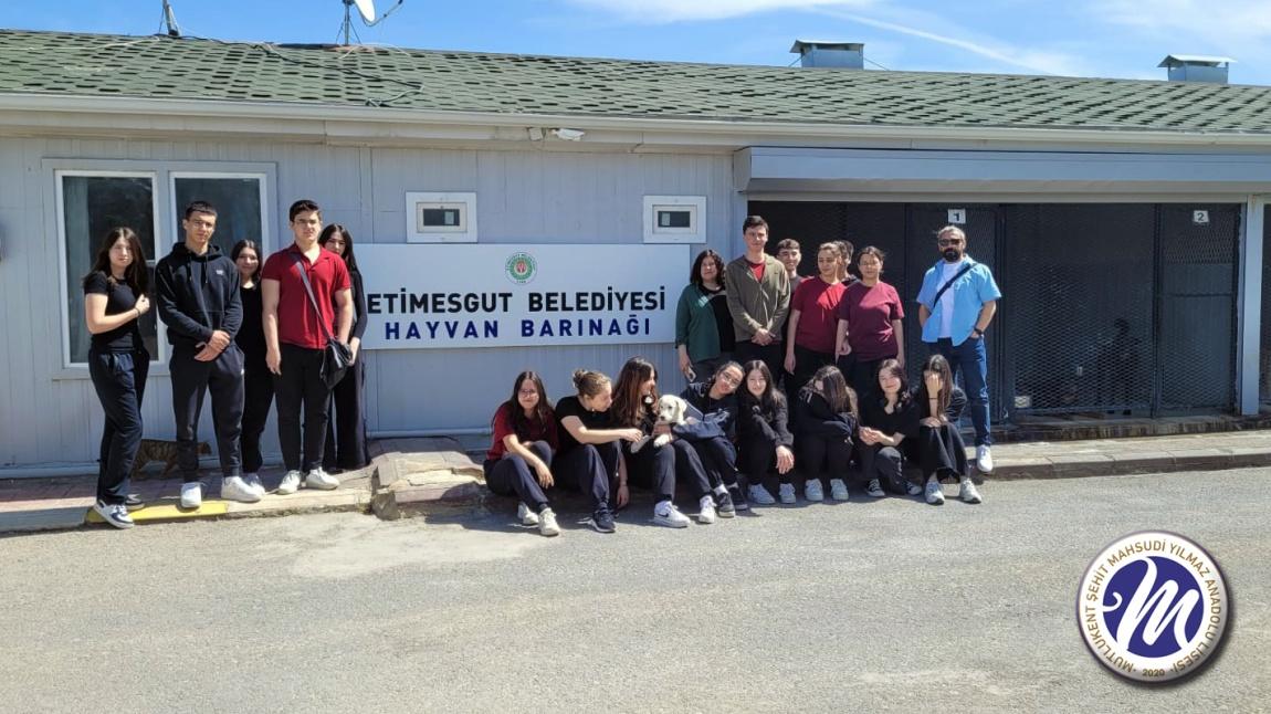  Hayvan Barınağı Ziyareti